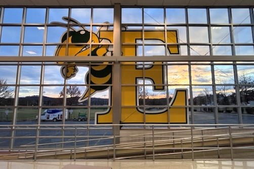 Window Graphics
